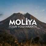 Moliya Tour Yogyakarta Logo